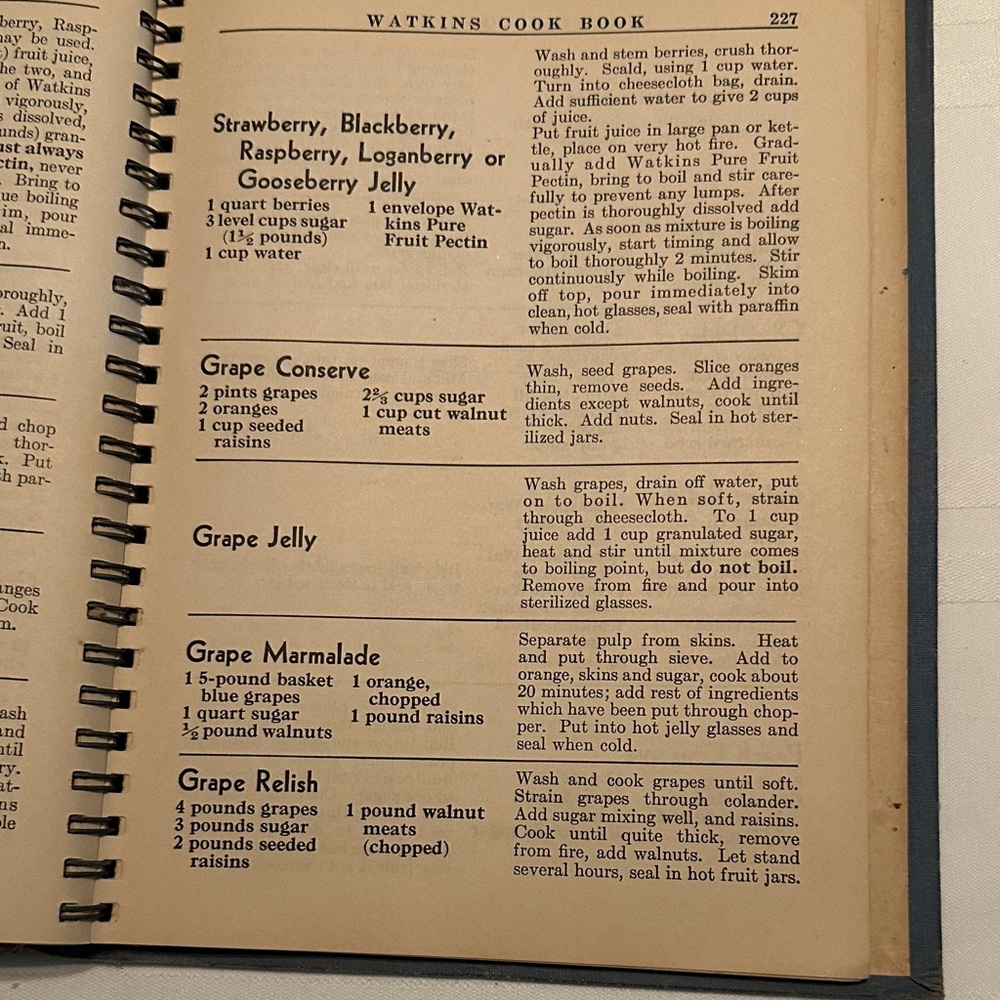 Vintage J. R. Watkins Blue Cook Book - Picture 7 of 11